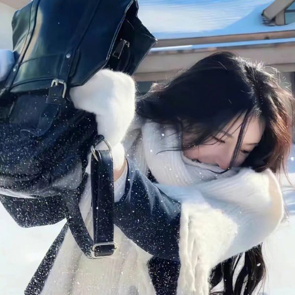 非洲孤狼